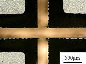 基板擴大照片 (images)